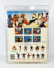 Load image into Gallery viewer, MOTU Deluxe (9"x11.5") UV Action Figure Protective Case