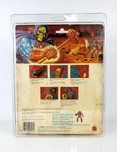 Load image into Gallery viewer, MOTU Deluxe (9"x11.5") UV Action Figure Protective Case
