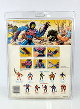 Load image into Gallery viewer, MOTU Deluxe (9"x11.5") UV Action Figure Protective Case