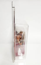 Load image into Gallery viewer, GBTC (8.5"x12") UV Action Figure Protective Case