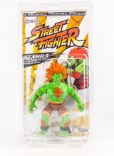 Load image into Gallery viewer, MOTU 5.5" UV Action Figure Protective Clamshell Case
