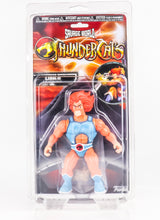 Load image into Gallery viewer, MOTU 5.5" UV Action Figure Protective Clamshell Case
