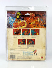 Load image into Gallery viewer, MOTU Deluxe (9&quot;x11.5&quot;) UV Action Figure Protective Case
